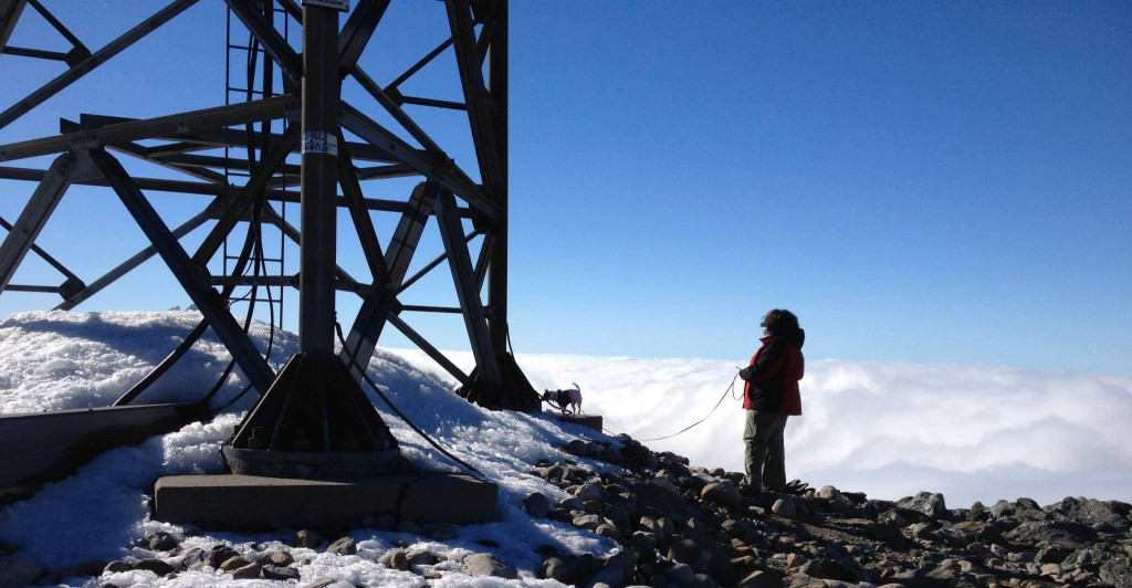 Mt Washington K9NW narrow crop